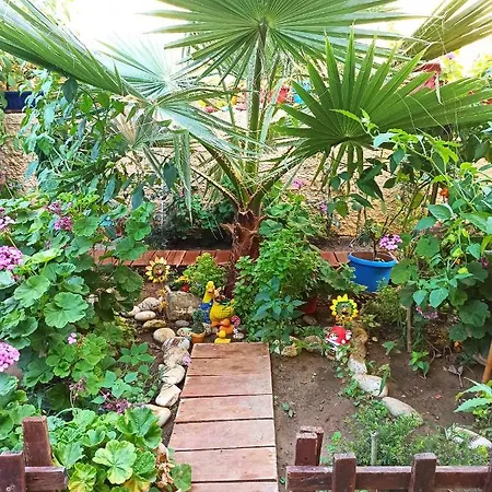 Sofia Margarita's Zajazd