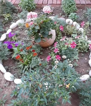 Sofia Margarita's Zajazd